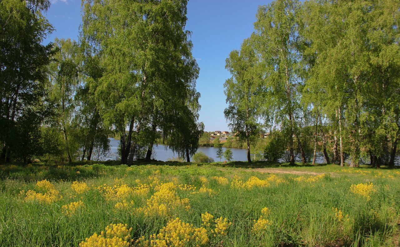 земля городской округ Мытищи с Марфино 9742 км, Дмитровское шоссе фото 2