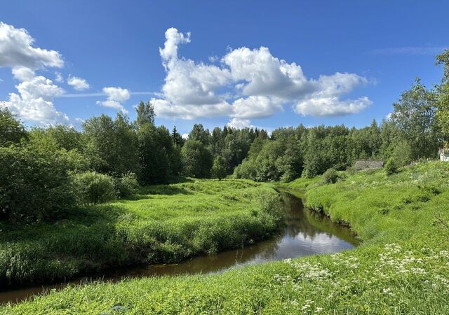 земля Трасса Вологда — Новая Ладога, 9881 км, Тихвинское городское поселение, Тихвин фото