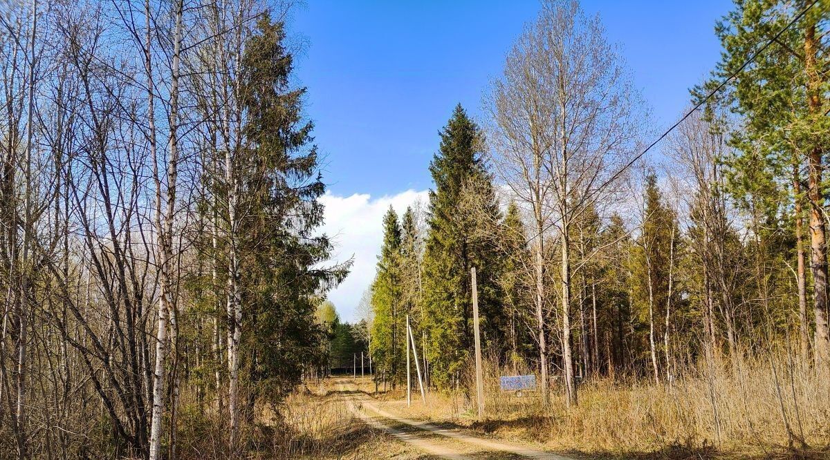 земля р-н Переславский д Криушкино Переславль-Залесский городской округ фото 9