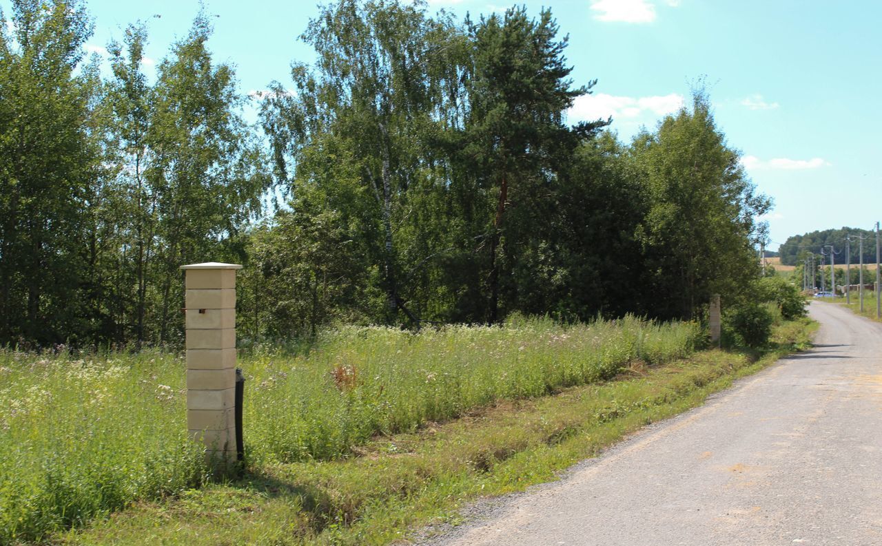 земля городской округ Домодедово 27 км, д. Степанчиково, Новокаширское шоссе фото 3