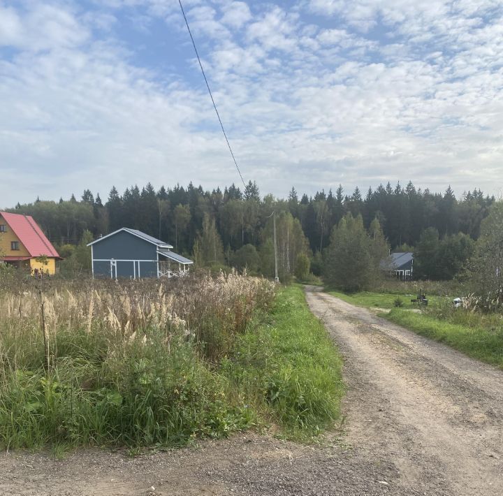 земля городской округ Солнечногорск д Скородумки снт Русь 76 фото 8