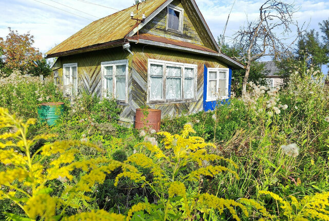 р-н Вологодский снт Радужное Венера фото