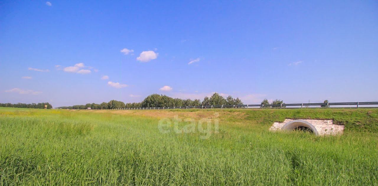 земля р-н Павловский п Молодежный фото 17