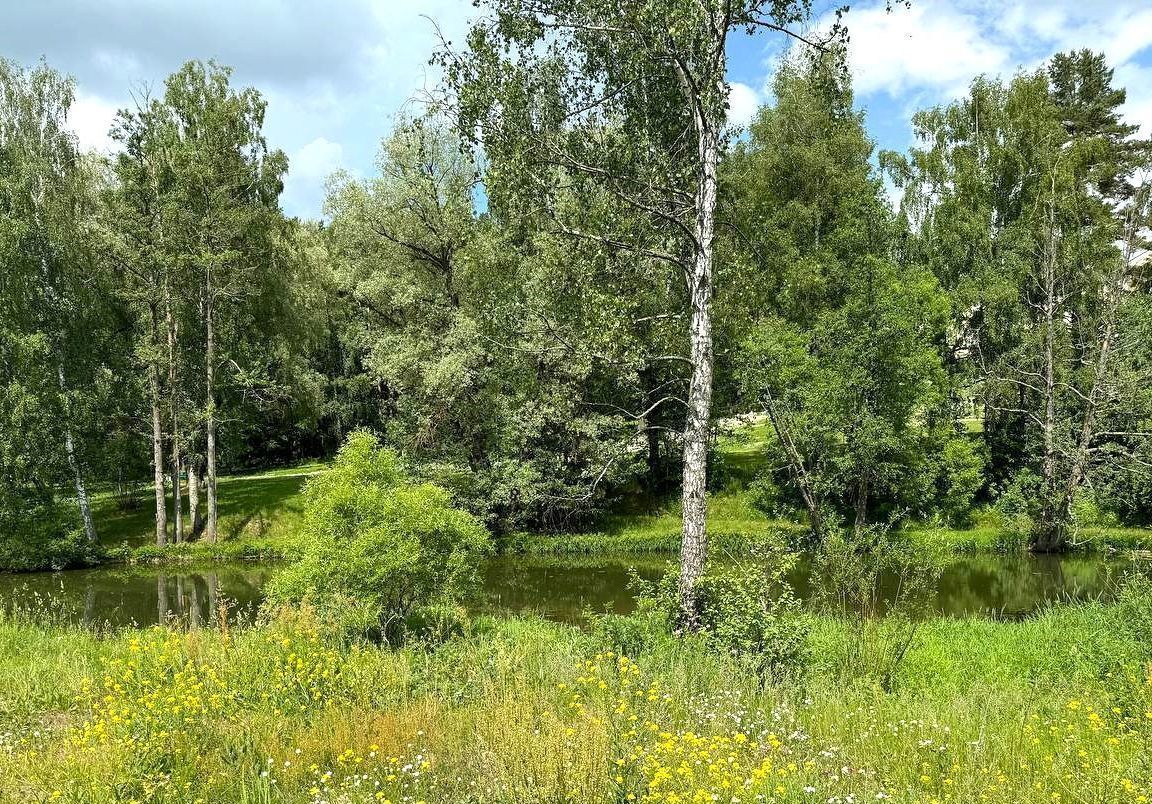 земля городской округ Домодедово 9760 км, коттеджный пос. Растуново, с. Растуново, Новокаширское шоссе фото 4