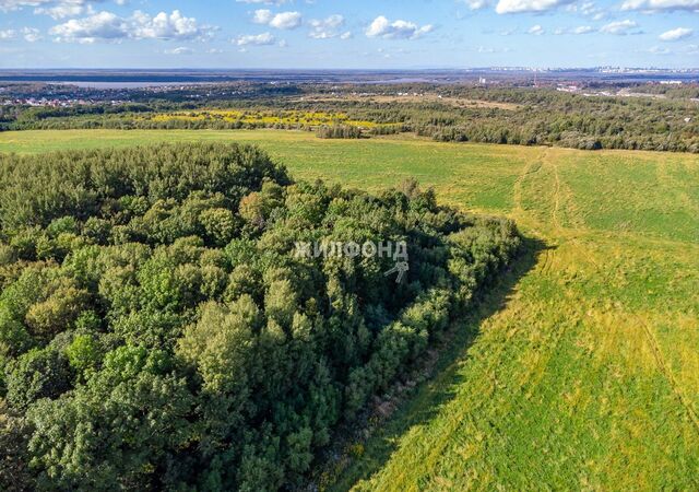 ул Первомайская Хабаровск фото