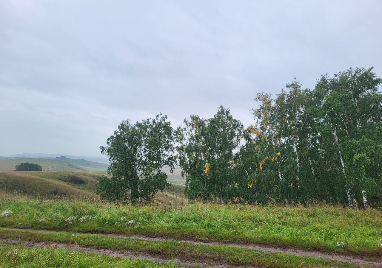 земля р-н Емельяновский с/с Элитовский сельсовет, Красноярск фото 1