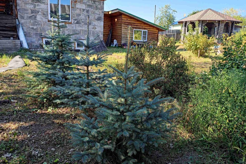 дом р-н Белохолуницкий г Белая Холуница ул Елькина 2 Белохолуницкое городское поселение фото 2