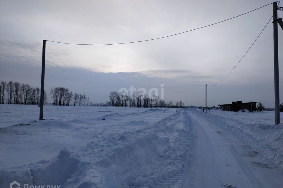 земля р-н Омский с Дружино Ясная улица фото 4