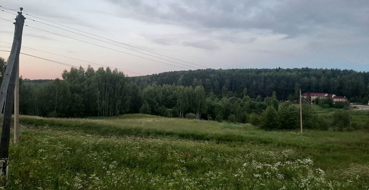 земля р-н Красносельский д Большое Андрейково Боровиковское сельское поселение, Караваево фото 2