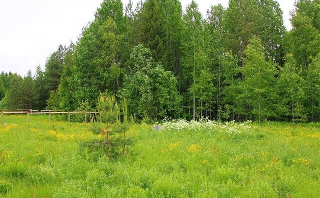 городской округ Ленинский п Горки Ленинские 10 км, Видное, Новокаширское шоссе фото