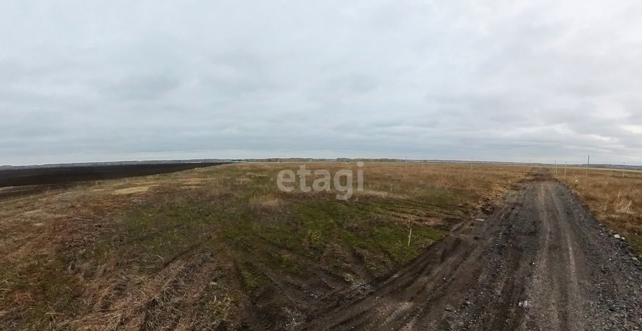 земля р-н Тюменский д Малиновка коттеджный пос. Вольные Угодья, Успенка фото 8