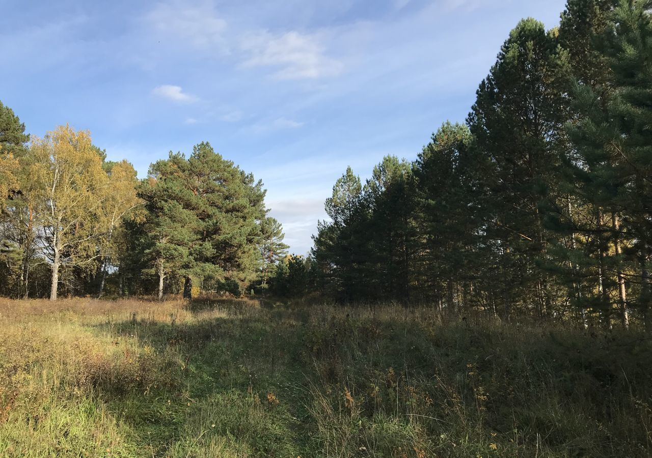 земля р-н Турочакский с Озеро-Куреево ул Береговая Турочак фото 23