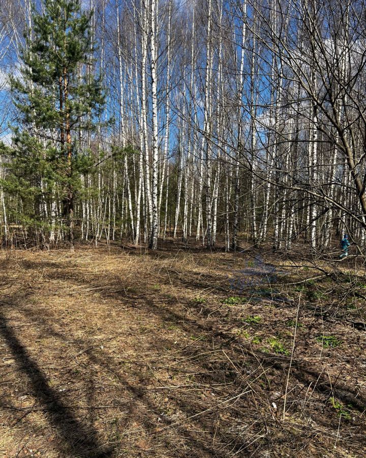 земля р-н Чкаловский д Ломки Городецкий муниципальный округ, Балахна фото 1