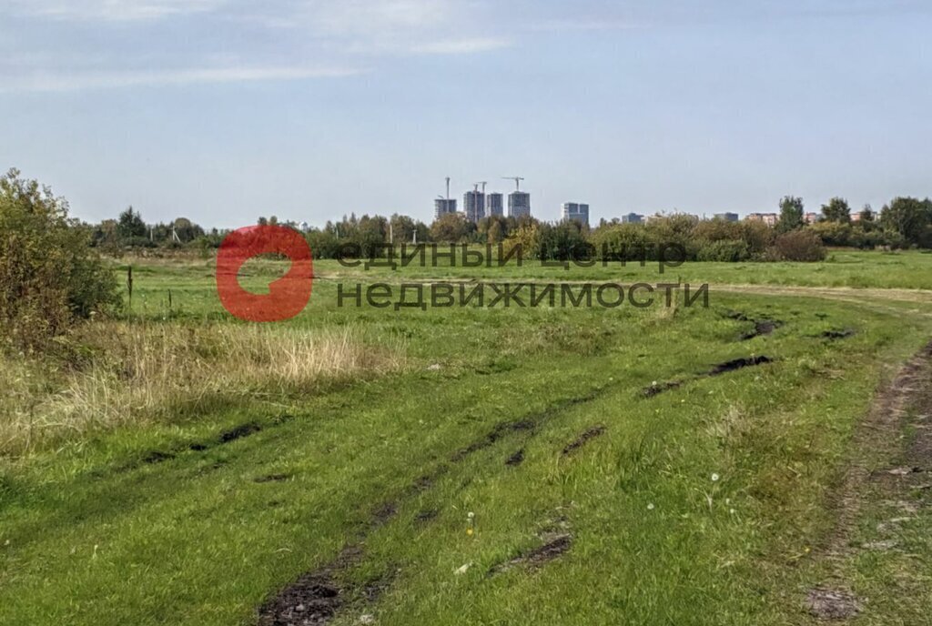 земля г Тюмень территория СОСН Агросад-, 2-я линия, 104 фото 8