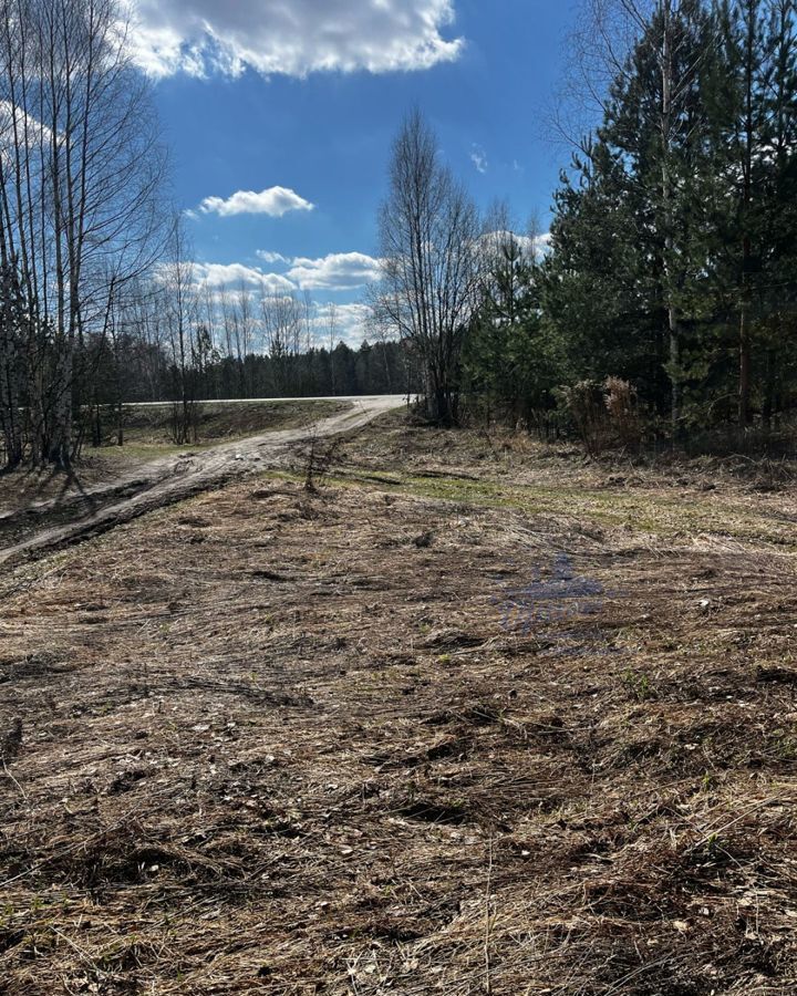 земля р-н Чкаловский д Ломки Городецкий муниципальный округ, Балахна фото 6