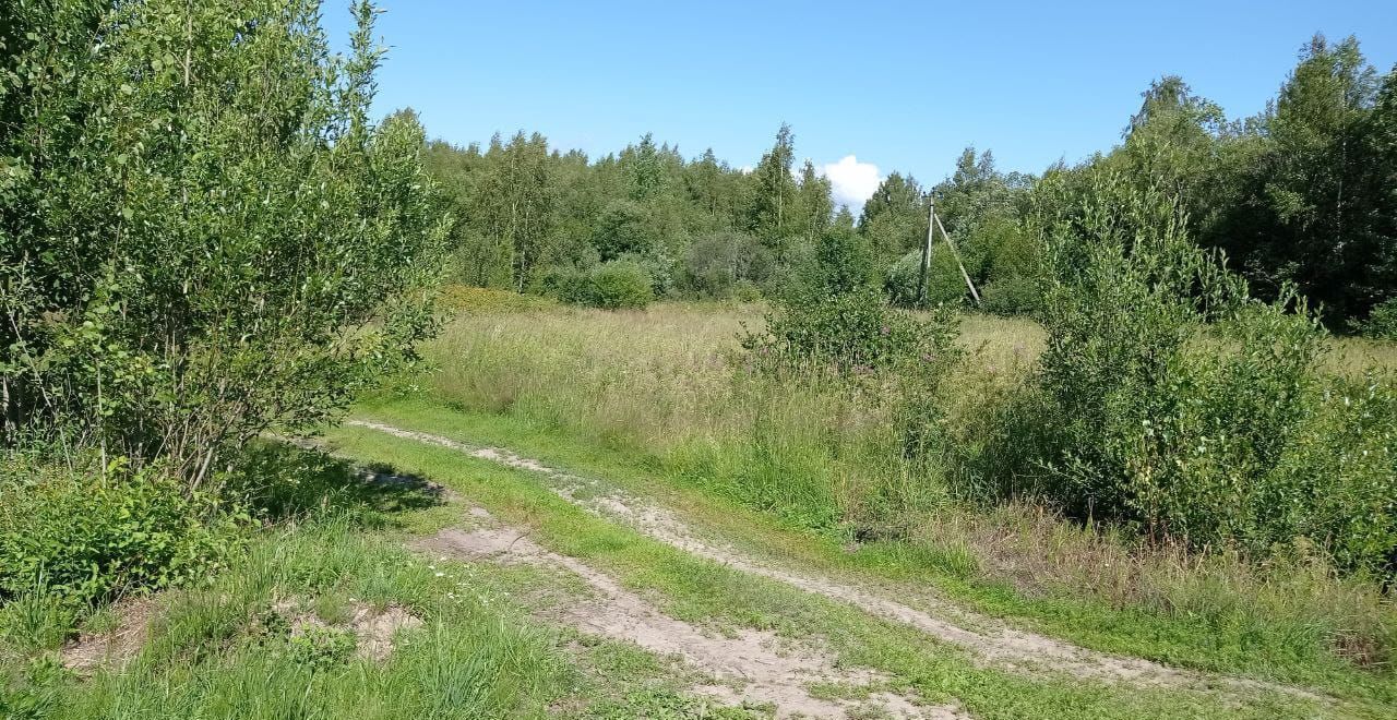 земля р-н Волховский д Загубье ул Луговая 2 Мурманское шоссе, 133 км, Свирицкое сельское поселение, Сясьстрой фото 5