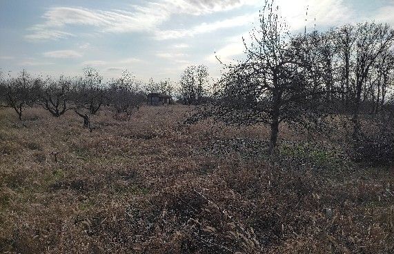 земля Победненское сельское поселение, садоводческое некоммерческое товарищество Агропром, Джанкой фото