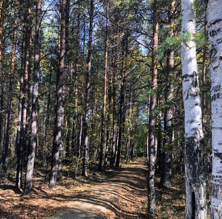 дом р-н Невьянский п Аять снт Дружба СОНТ, Невьянский городской округ фото 33