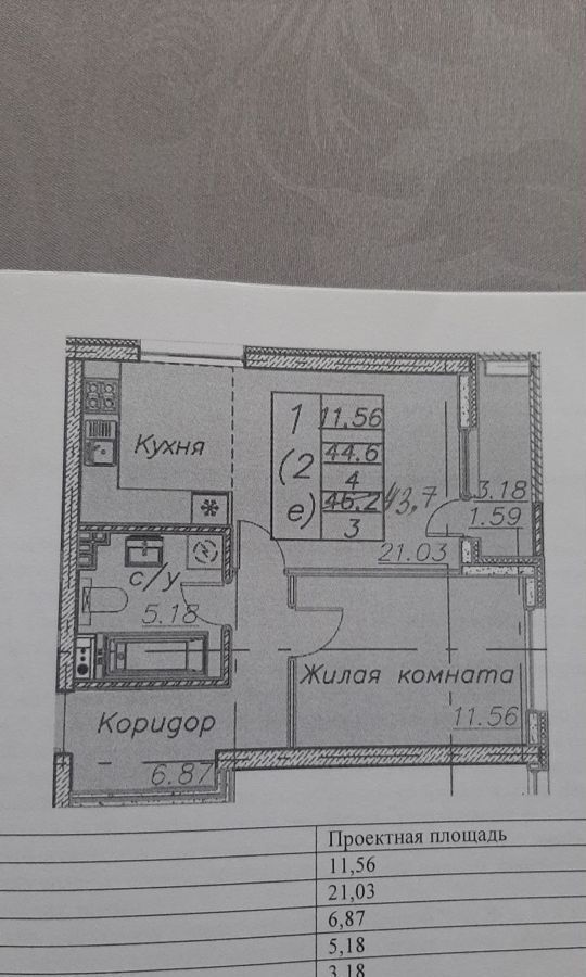 квартира г Воронеж р-н Центральный ул Загоровского 1 фото 10