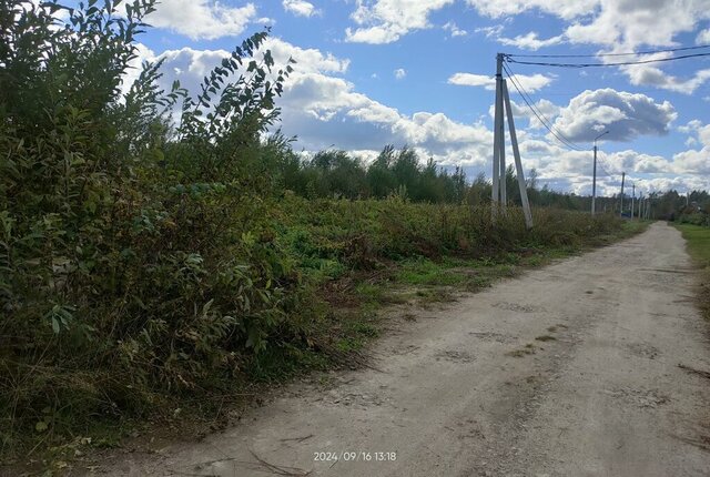 земля сельсовет, ДНТ Реестр, посёлок Воробьёвский фото