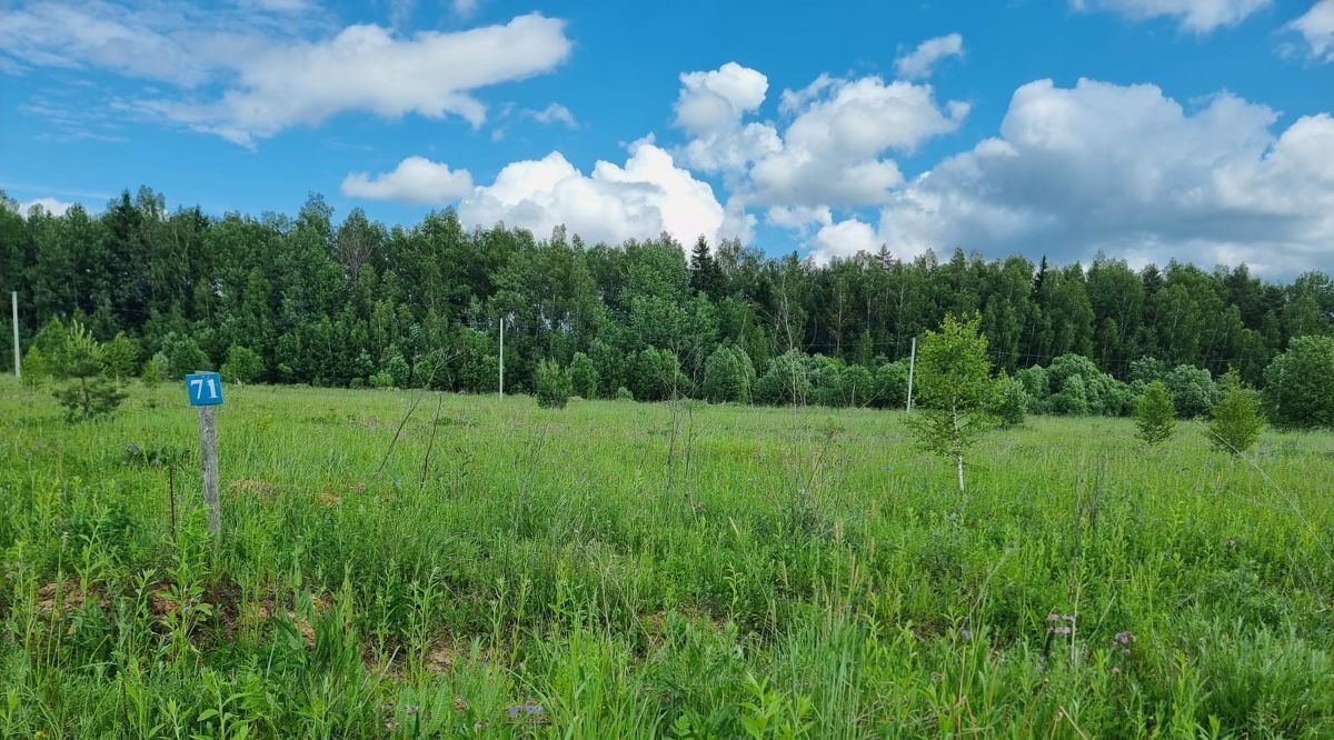 земля городской округ Можайский Рублево кп фото 2