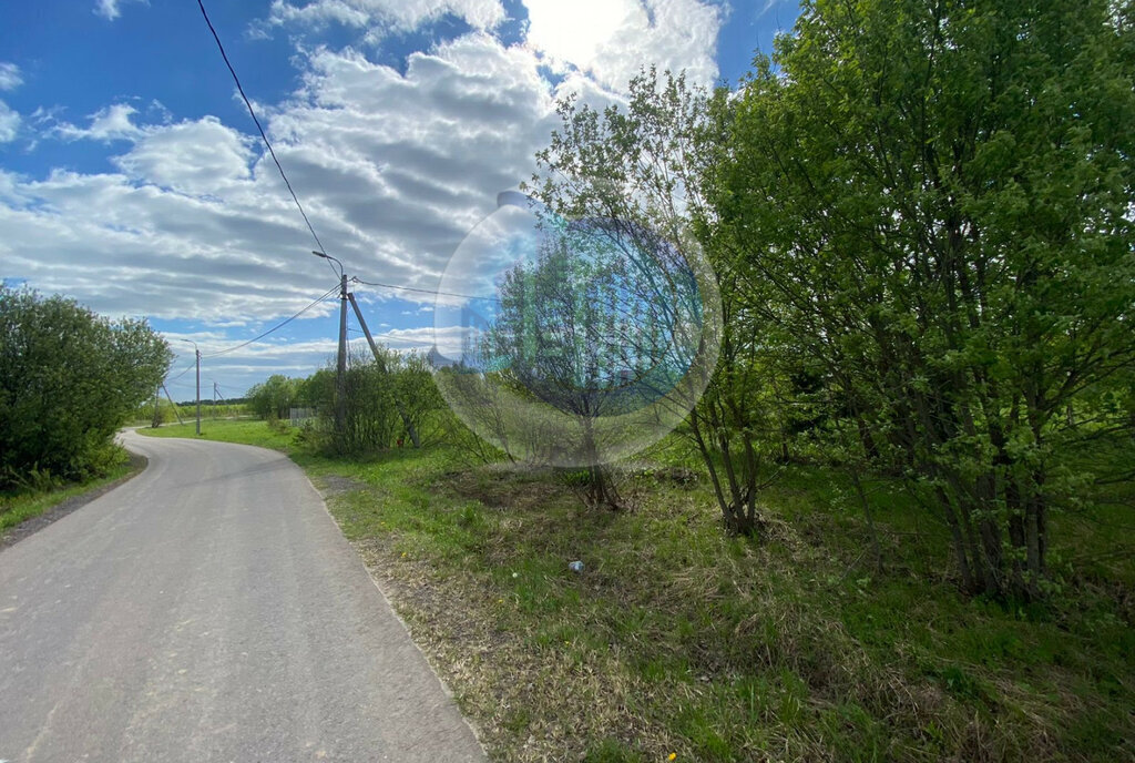 земля г Москва п Роговское д Спас-Купля ТиНАО район Вороново фото 2