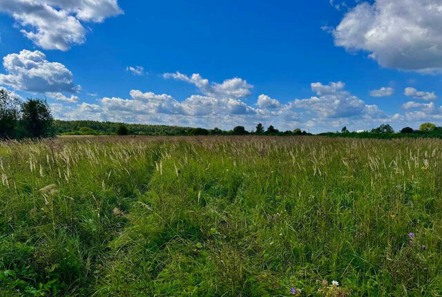 п Электроизолятор снт Электроизолятор Раменское фото