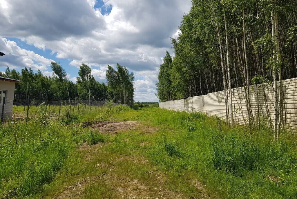 земля городской округ Дмитровский д Минеево Лобня фото 30