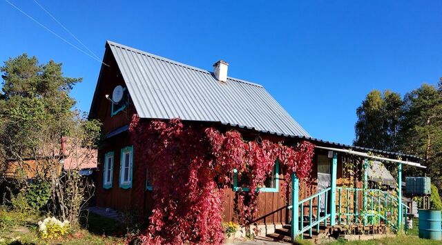 п Каменушка ул Ленина Верхнеуфалейский городской округ фото