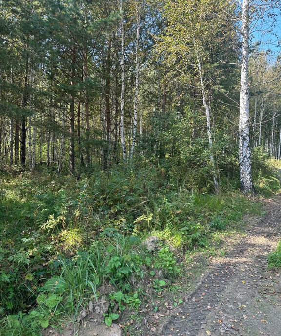 дом р-н Белоярский п Гагарский загородный комплекс Лайф, 2-я Парковая улица фото 11