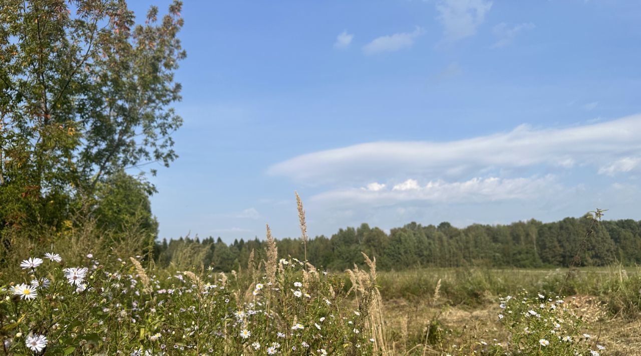 земля городской округ Пушкинский д Подвязново фото 5