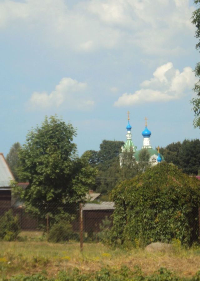 дом р-н Лужский д Голубково Киевское шоссе, 140 км, Скребловское сельское поселение, Луга фото 13