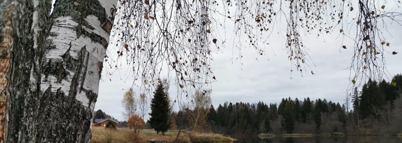 дом городской округ Рузский Мамошино Ком дп, ул. Филипповская, 17 фото 35