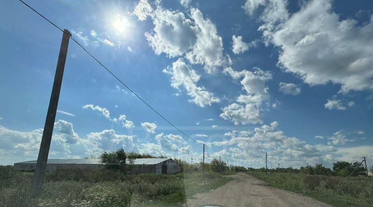 земля р-н Новоусманский п Никольское с пос, пос. Совхоза Воронежский, ул. Воронежская фото 7