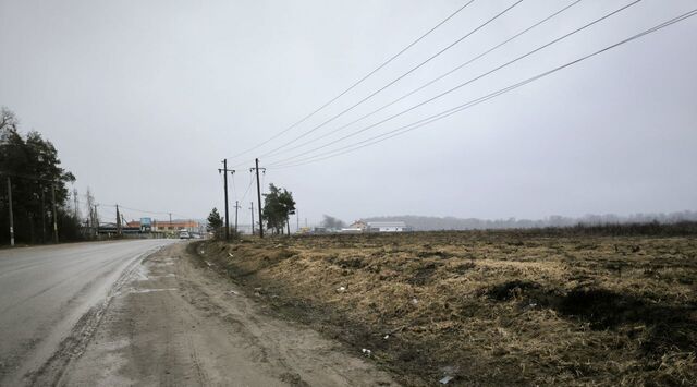 ул Дорожная Колтушское городское поселение фото