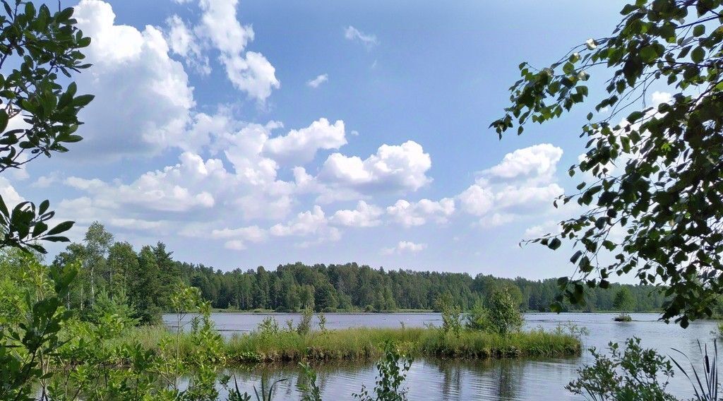 земля р-н Всеволожский д Проба Рахьинское городское поселение фото 2