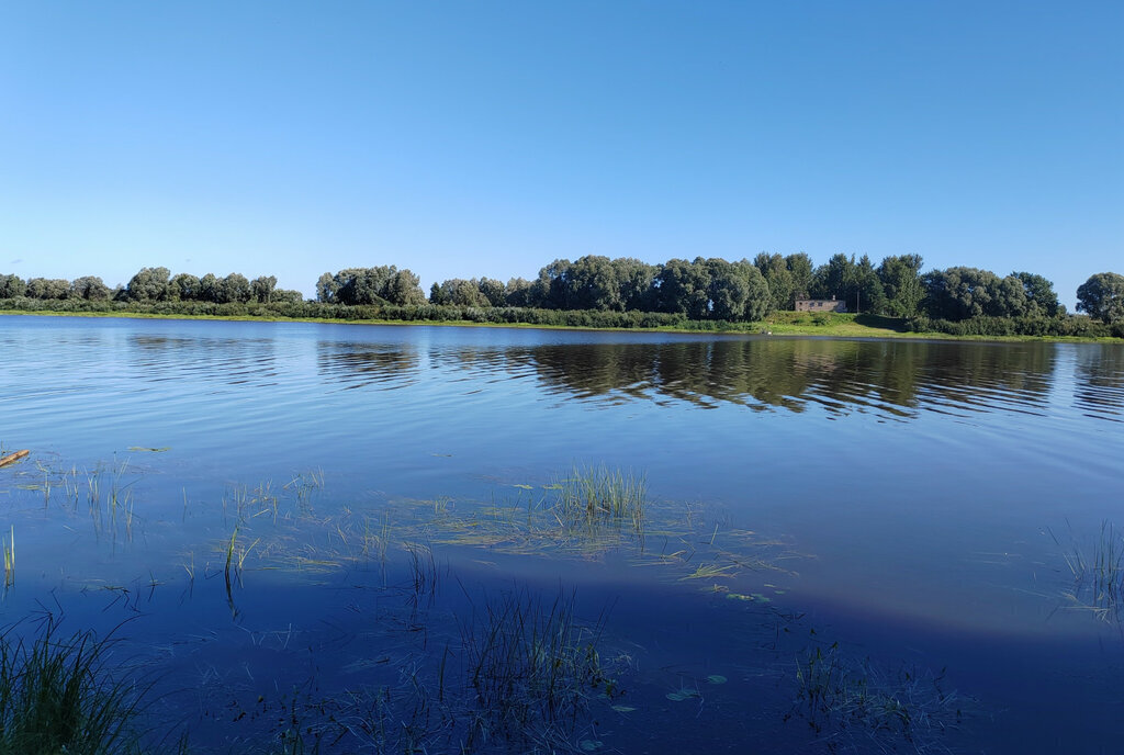 земля р-н Новгородский д Белая Гора Бронницкое сельское поселение фото 1