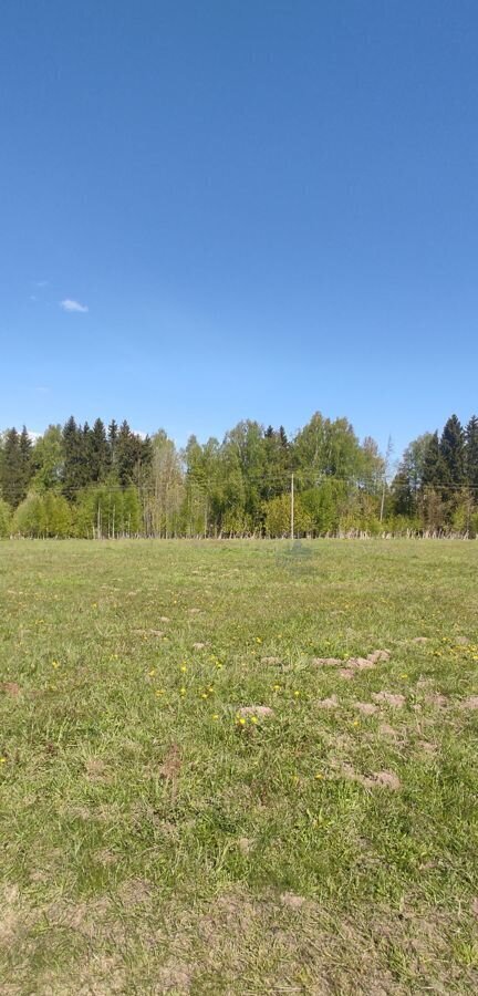 земля р-н Чкаловский с Вершилово ул Чкалова Заволжье, г. о. Чкаловск фото 2