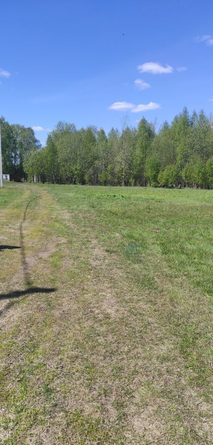 земля р-н Чкаловский с Вершилово ул Чкалова Заволжье, г. о. Чкаловск фото 7