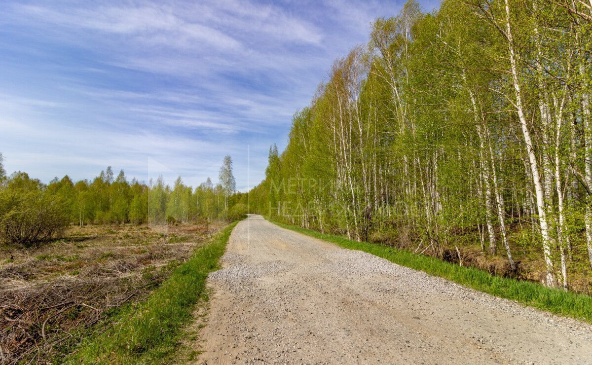 земля р-н Нижнетавдинский снт Фортуна Тюмень фото 15