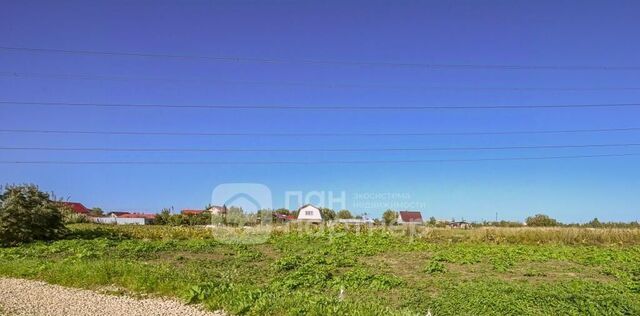 Тельмановское городское поселение, Самсоновка СНТ, ул. Спортивная фото