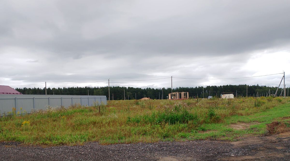 земля городской округ Богородский с Воскресенское фото 1