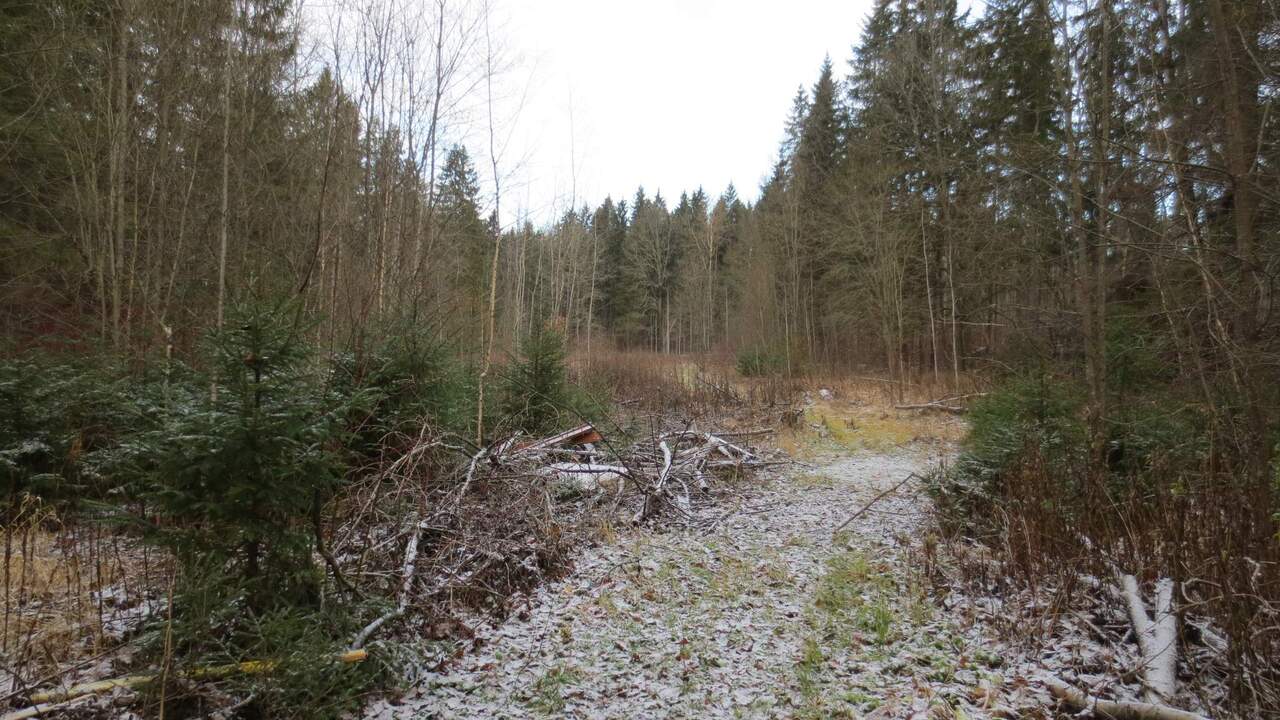 земля городской округ Наро-Фоминский п дома отдыха Бекасово Наро-Фоминск г, СПК Ромашка территория, Киевское шоссе фото 2