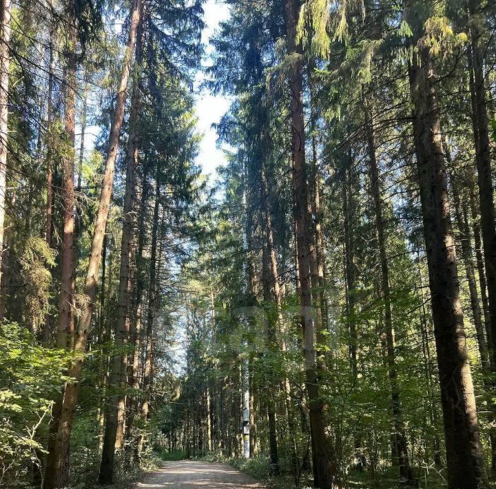 дом городской округ Рузский д Староникольское ул Луговая 23 фото 48