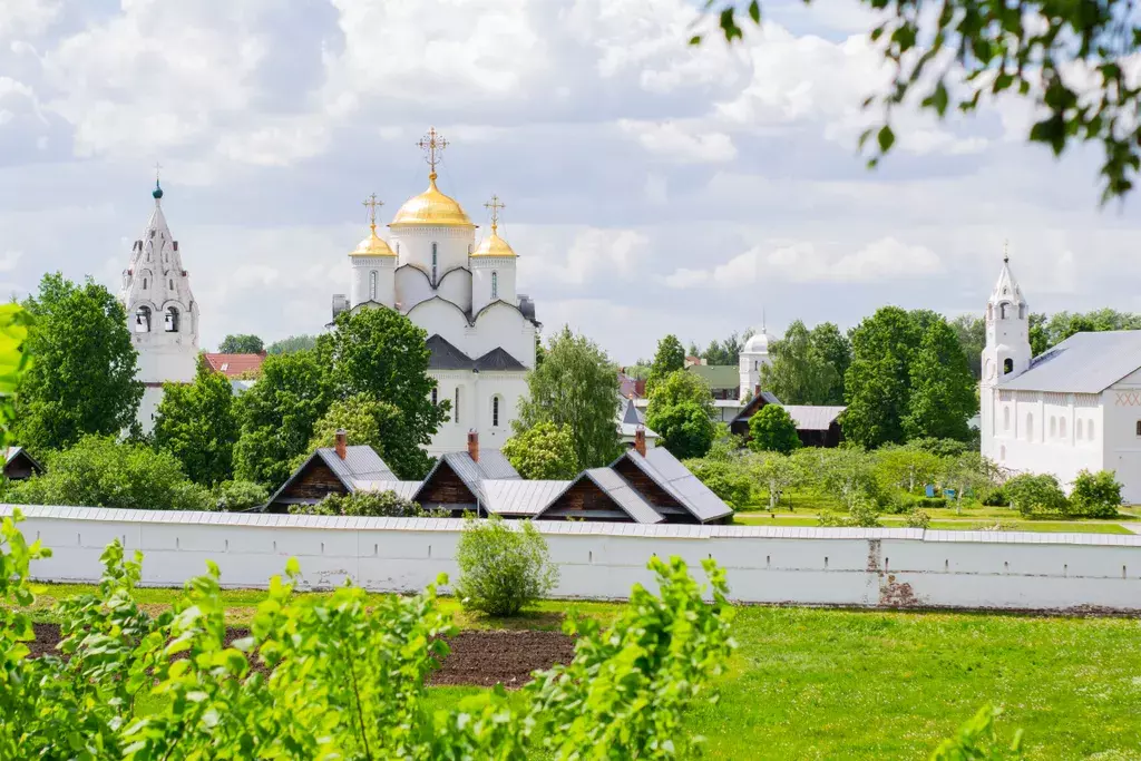 дом р-н Суздальский г Суздаль ул Гастева 27 фото 24