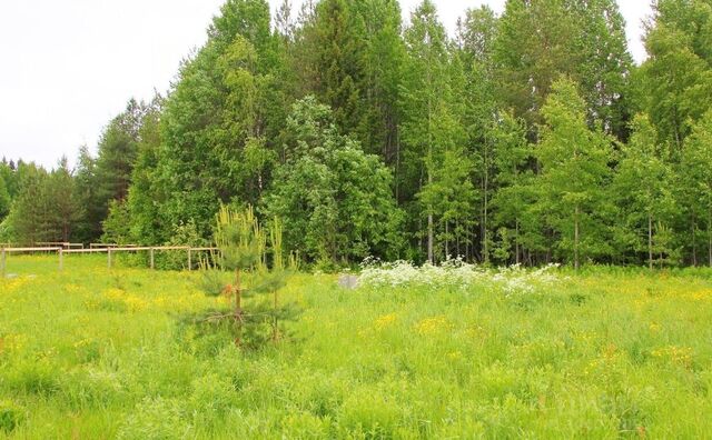 городской округ Подольск 20 км, пос. Кузнечики, Варшавское шоссе фото