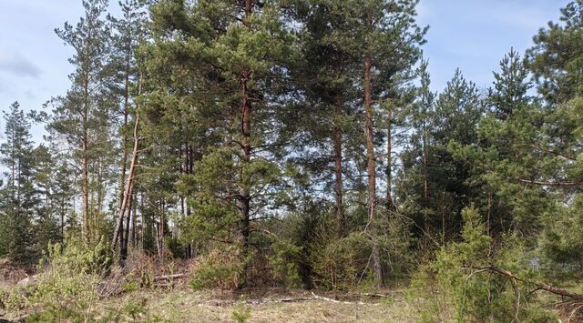 земля городской округ Богородский г Электроугли мкр Светлый Железнодорожная фото