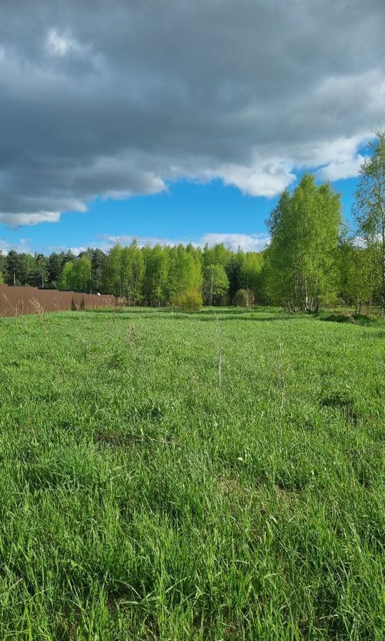 земля городской округ Лотошино с Микулино 130 км, Ленинградское шоссе фото 3