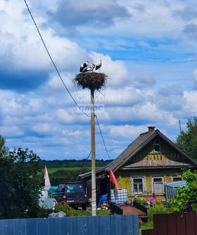 61, деревня Подберезье фото