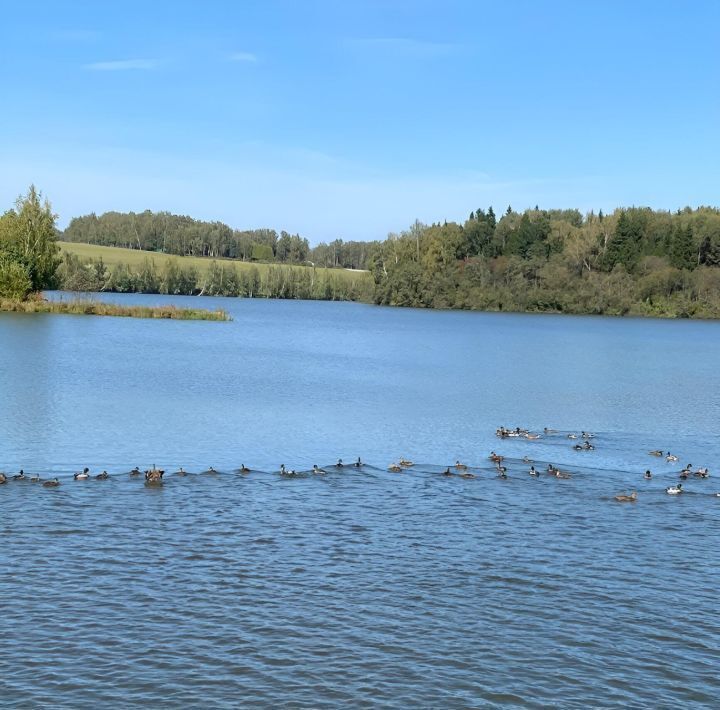 дом городской округ Сергиево-Посадский д Малинники 21 фото 25